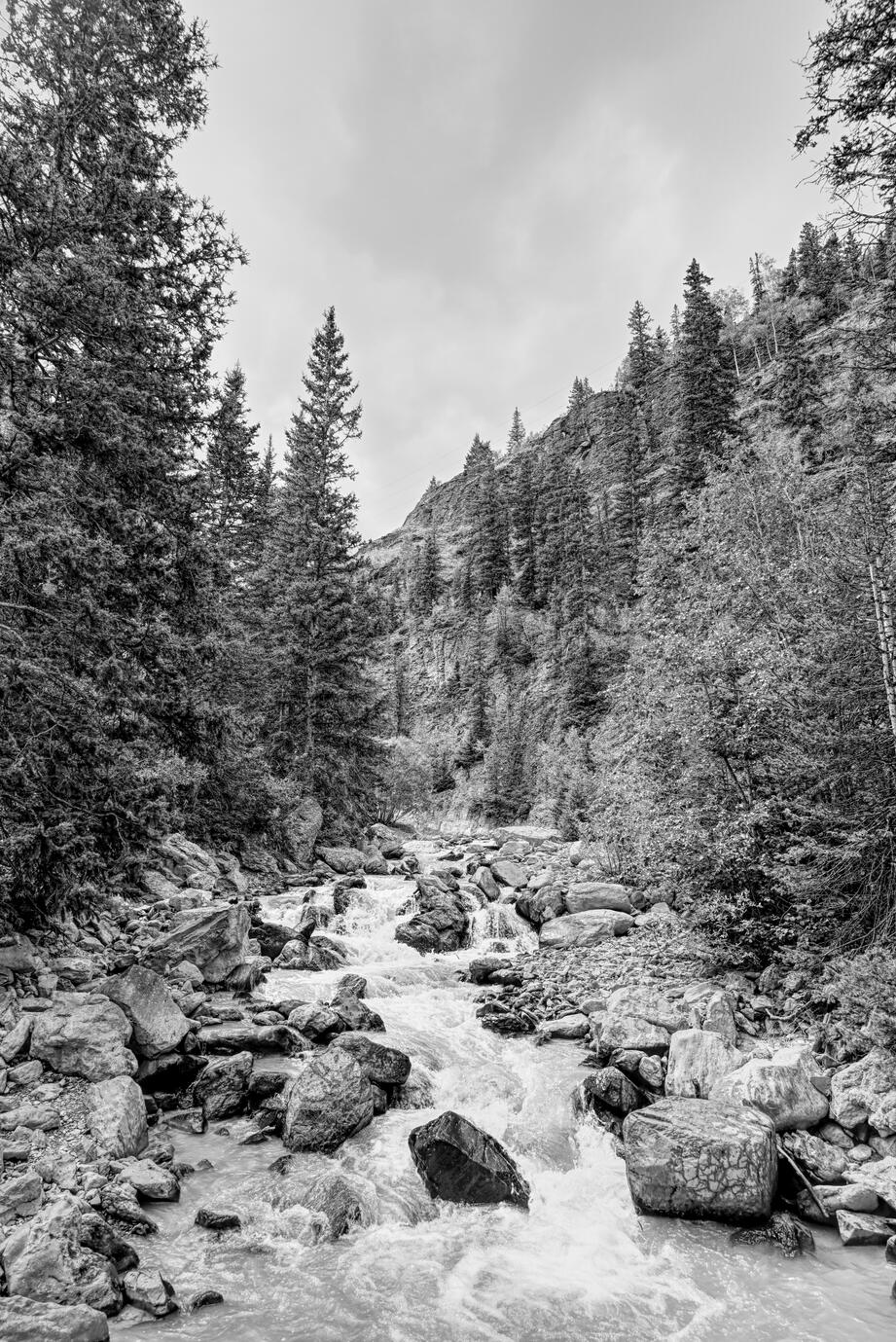 Landscapes